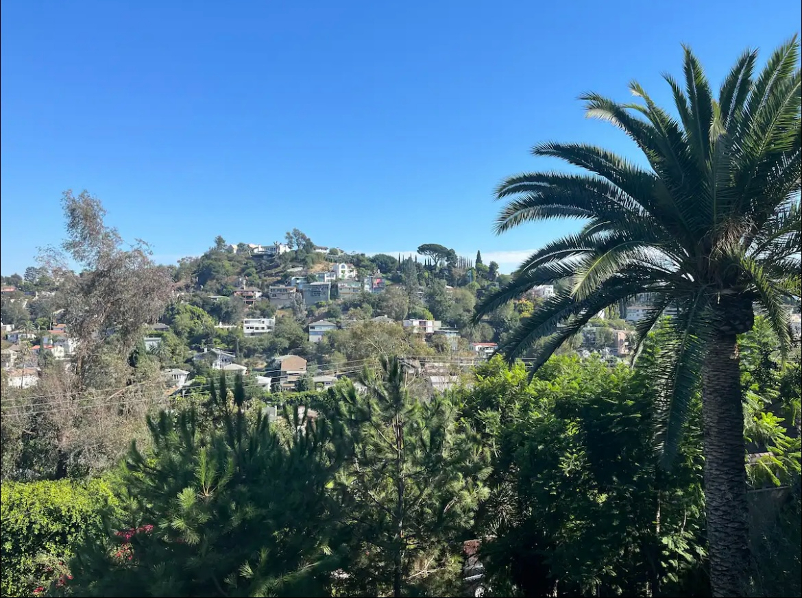 Silverlake Nest Among the Trees - Photo 5