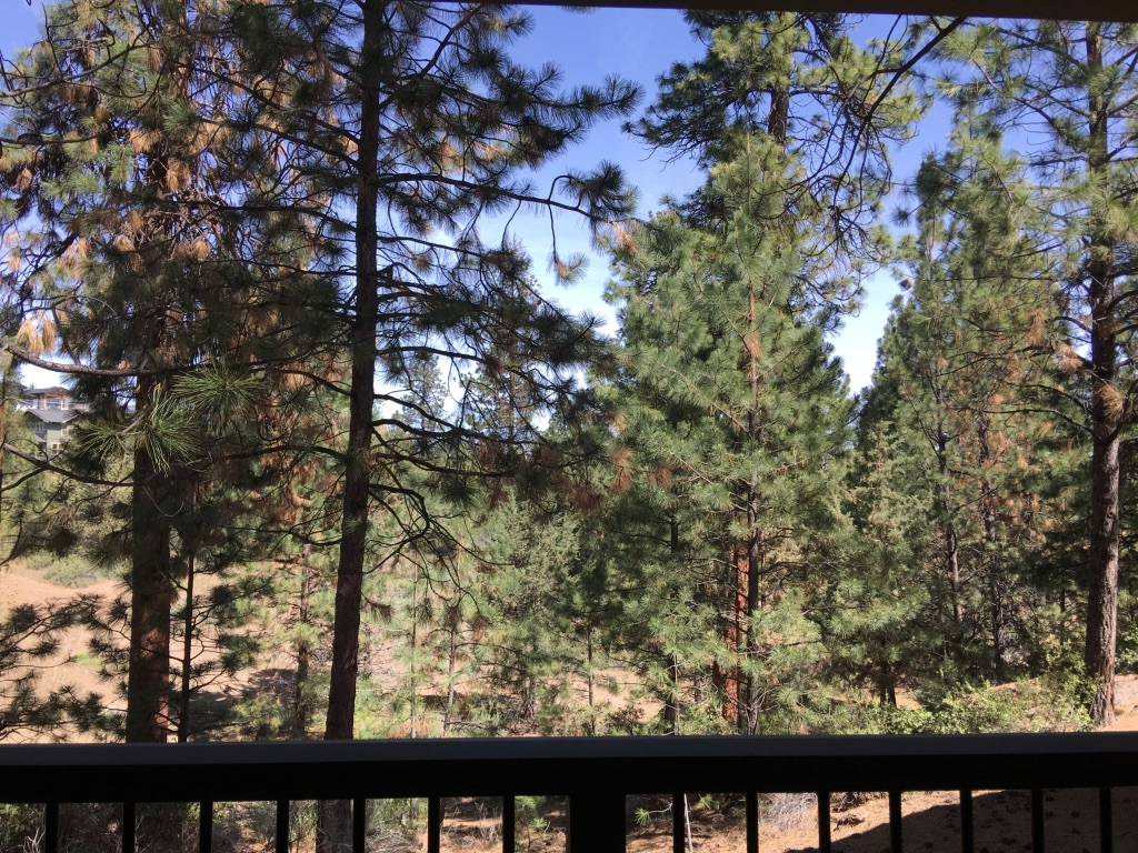 Cozy Condo at Mount Bachelor Village, Ground floor, Across from hot tub, Pool and Trail - Photo 1