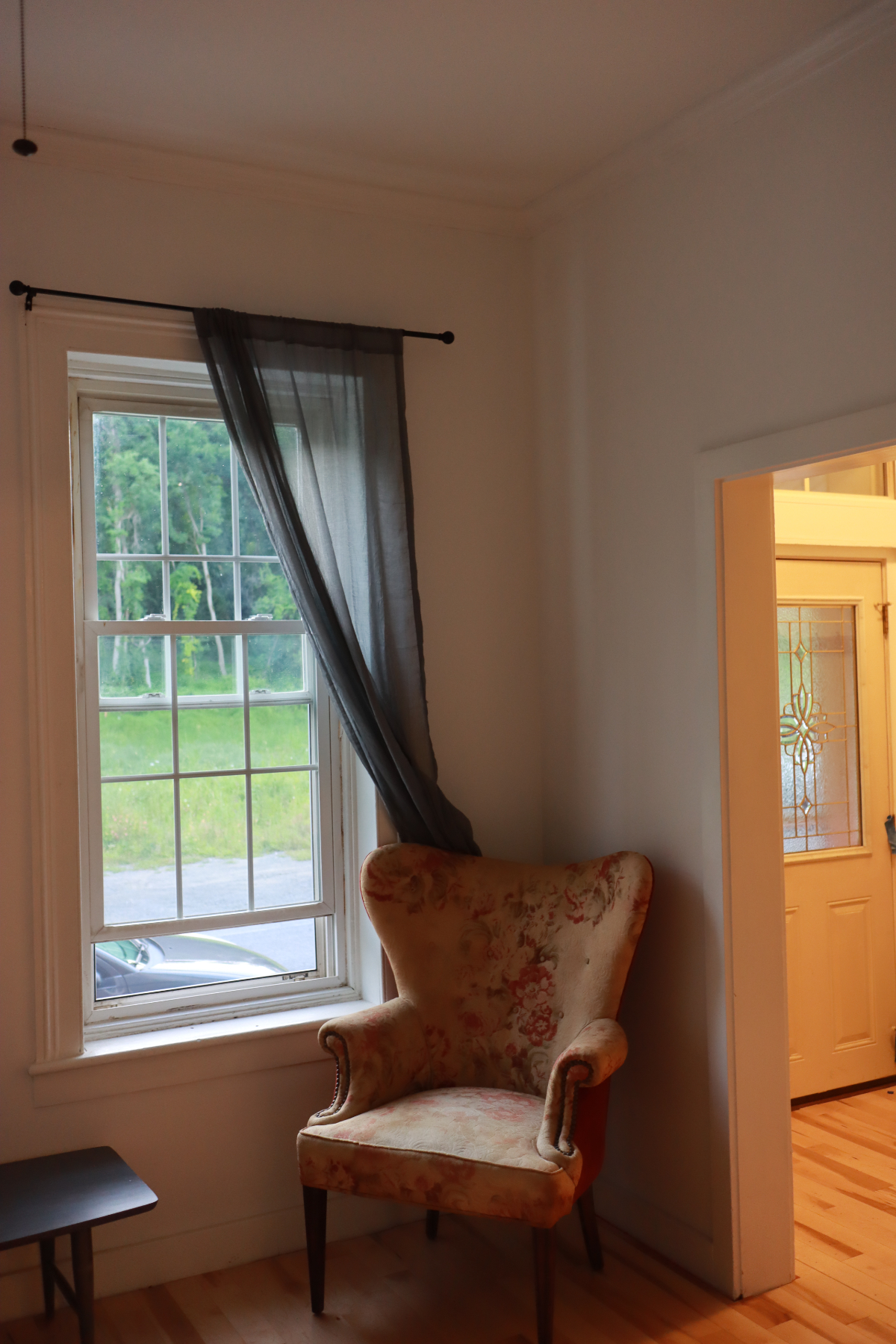 River Charm - Delightful 2-Bedroom Row House with Lush Backyard Oasis on the Hudson River - Photo 2