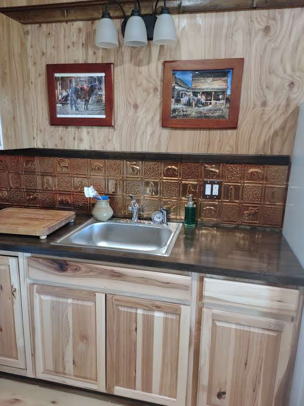 Wolf Haven Cabins Howling wolf - Photo 10