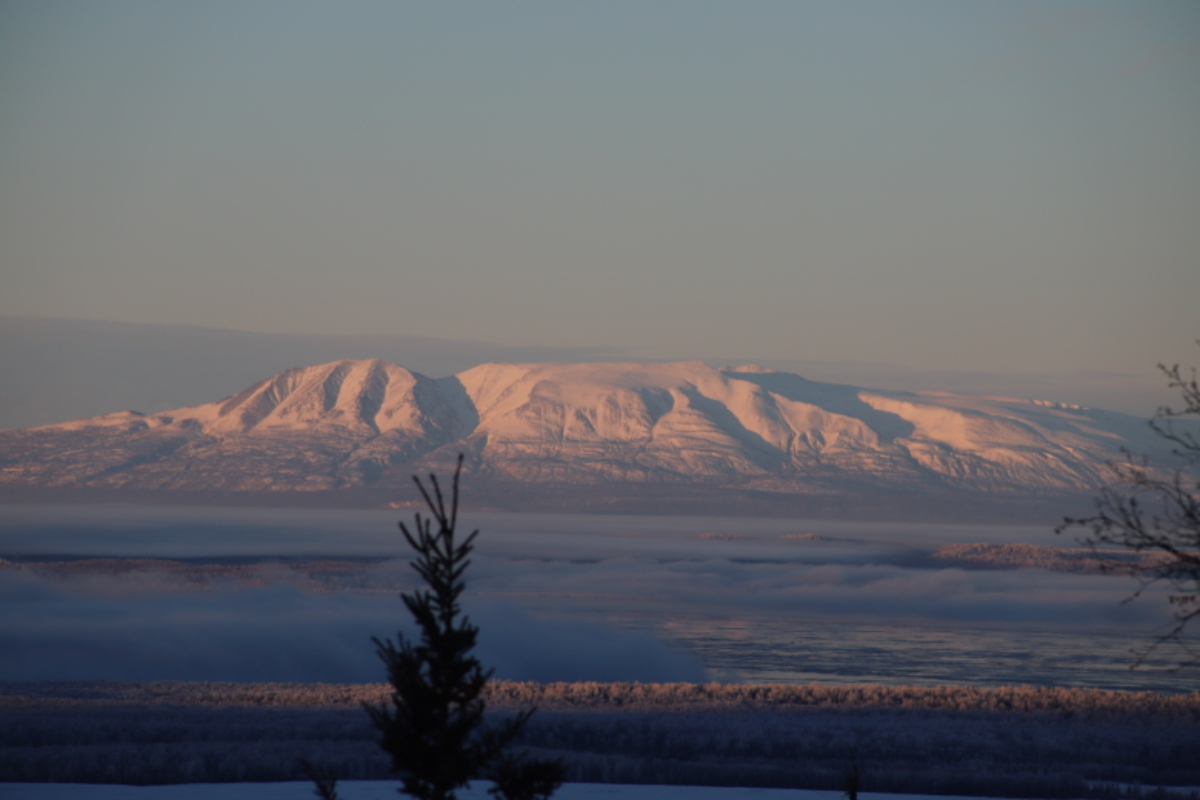 2 Bed 2 Bath Mountain Home with Amazing View - Photo 4