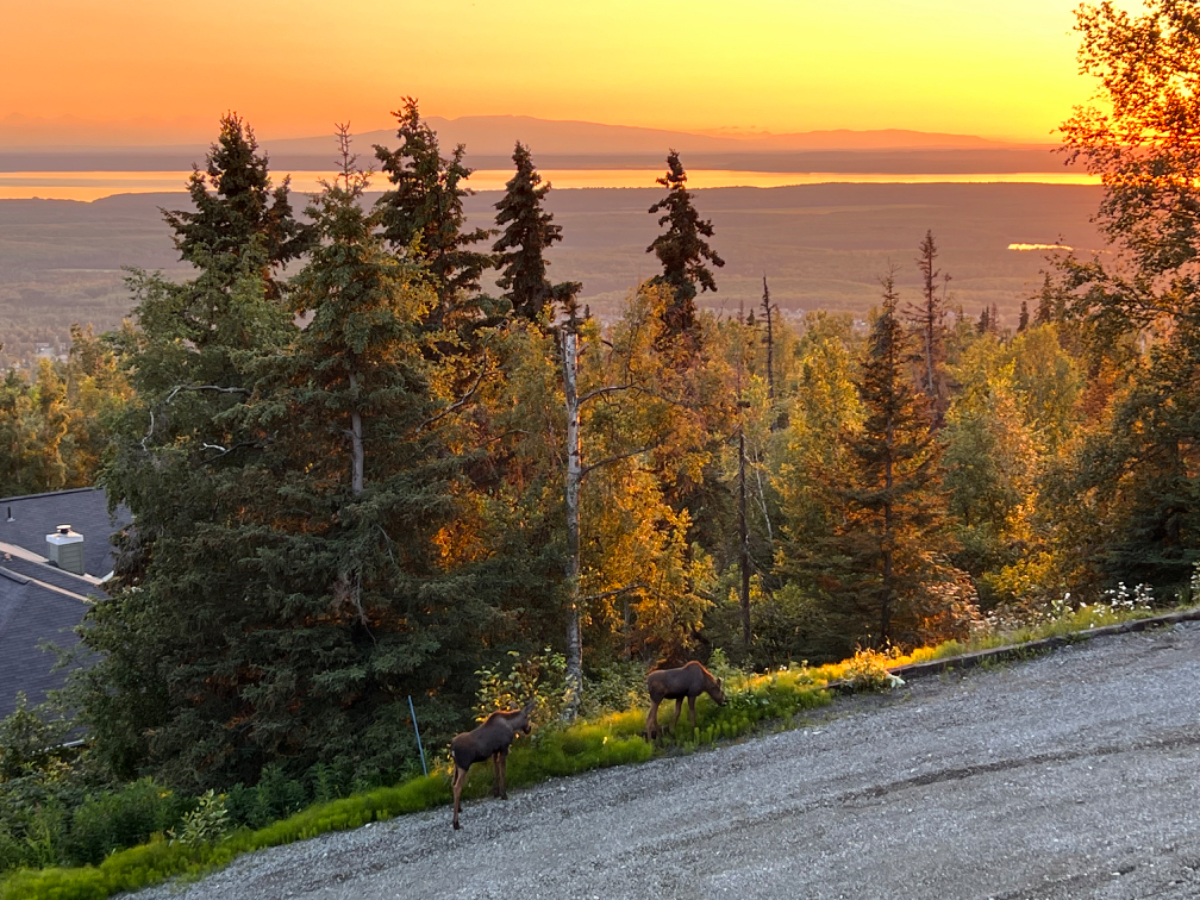 2 Bed 2 Bath Mountain Home with Amazing View - Photo 3