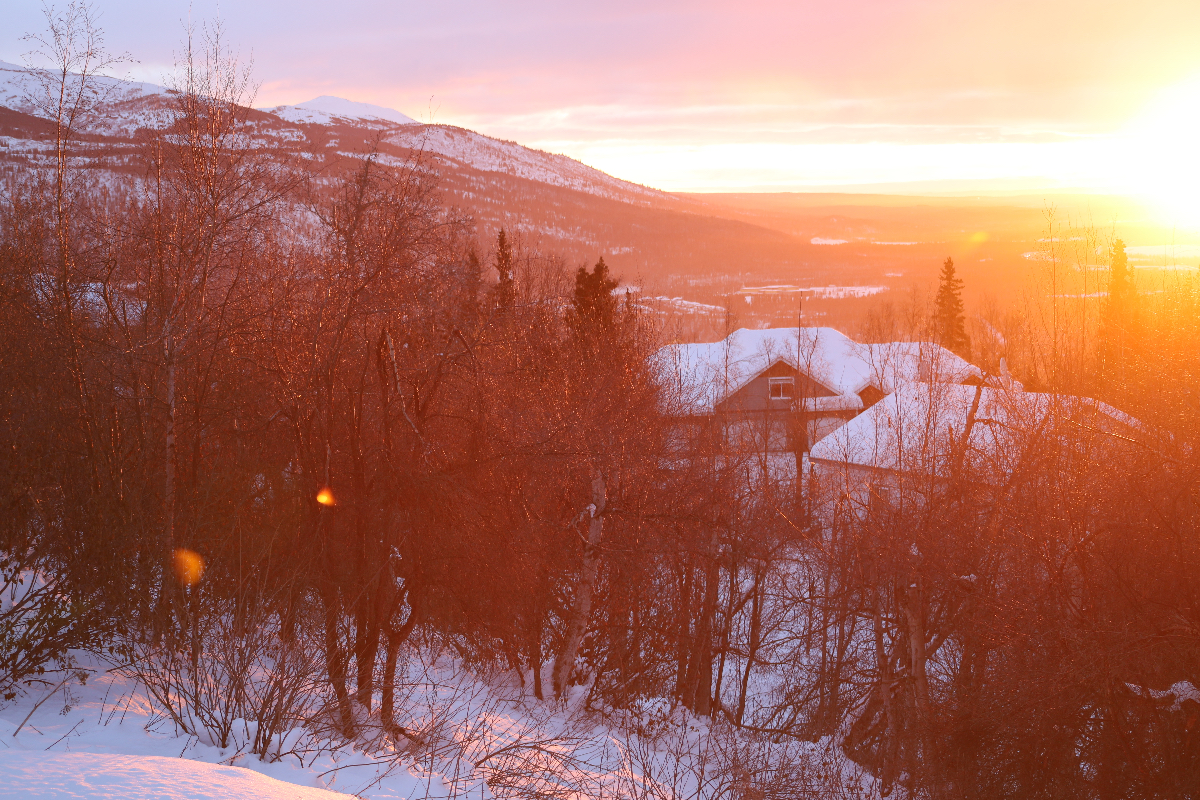 2 Bed 2 Bath Mountain Home with Amazing View - Photo 7