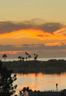Coastal Living in PB/Sail Bay - Photo 3