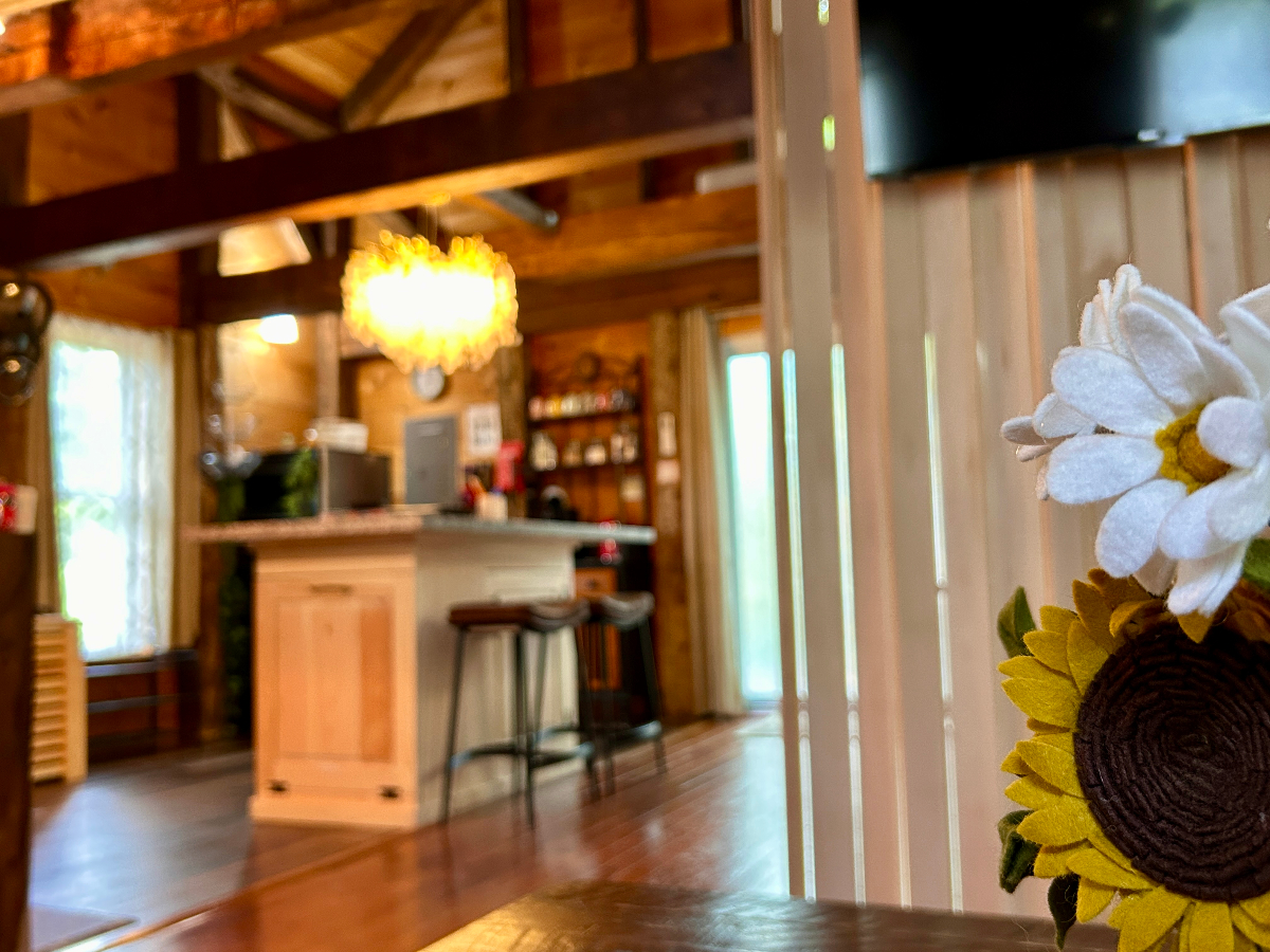Spacious Historic Wooden Cabin - Photo 10