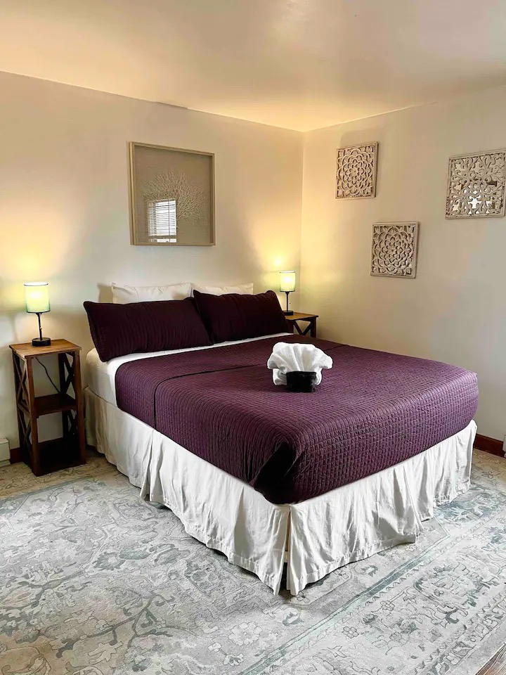 Newly Renovated Downtown Saratoga Apartment- 1/2 Block to Hospital - Photo 6