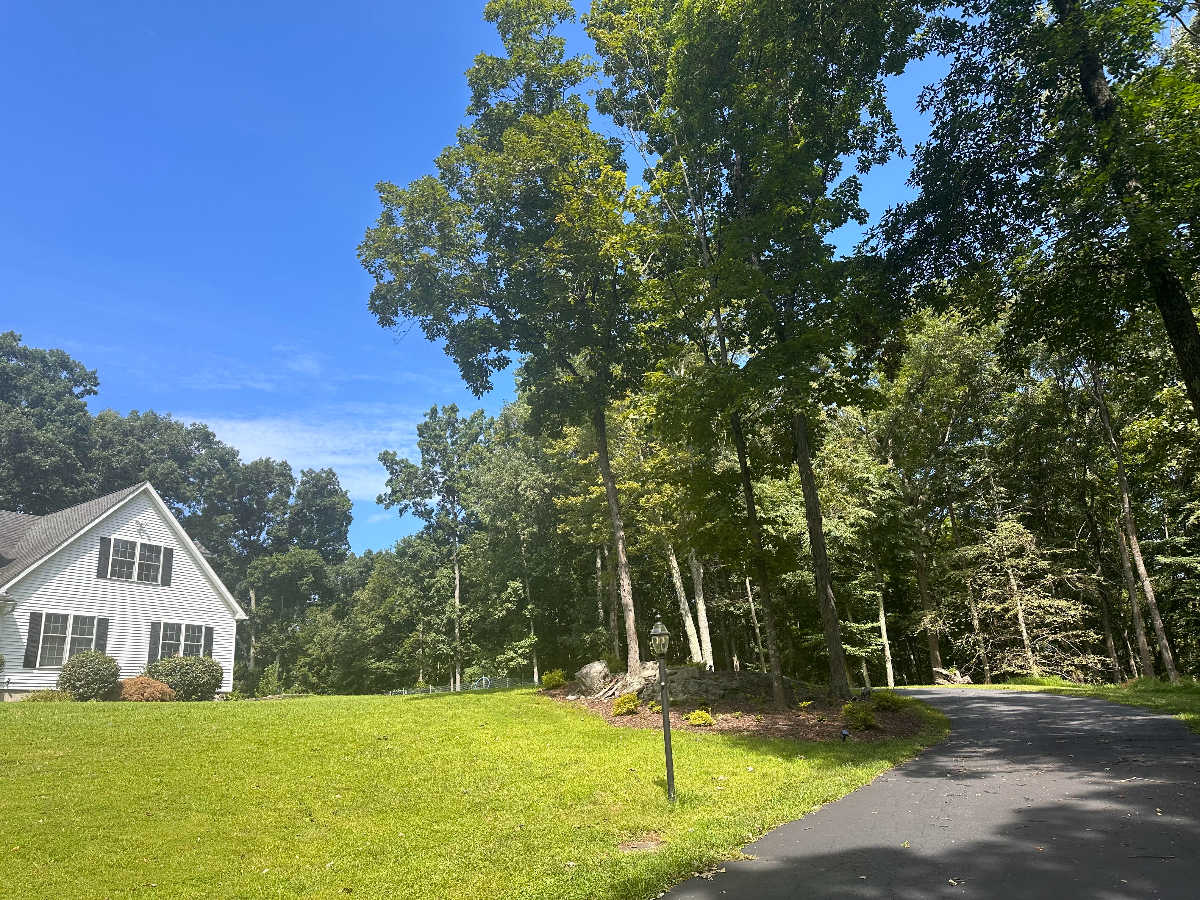 Katonah Suite - Photo 1