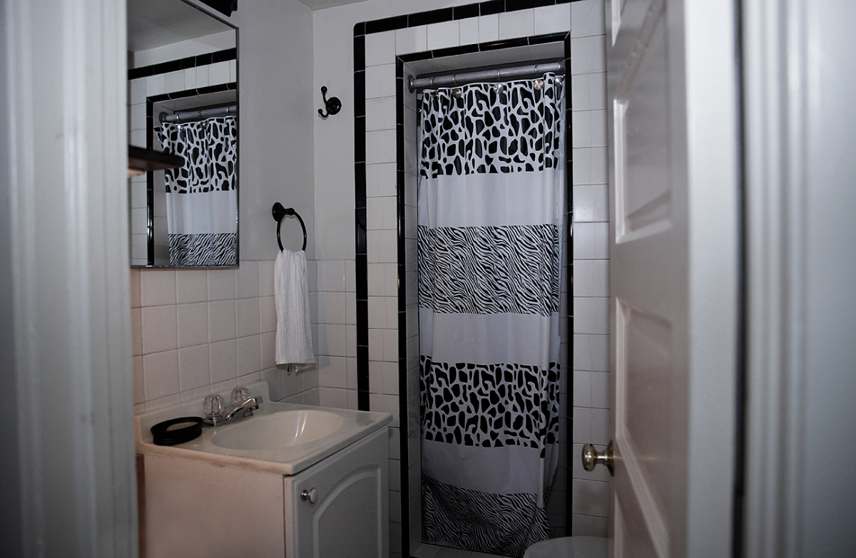 SF Garden Apt in vibrant Mission District - Photo 5