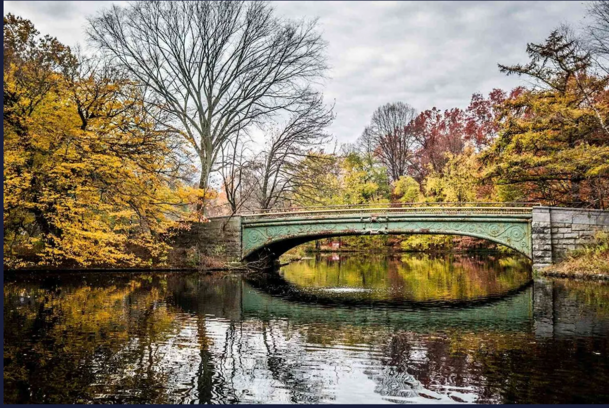 Brooklyn Gem-Steps from Prospect Park, Modern Comforts & Easy Manhattan Access - Photo 11