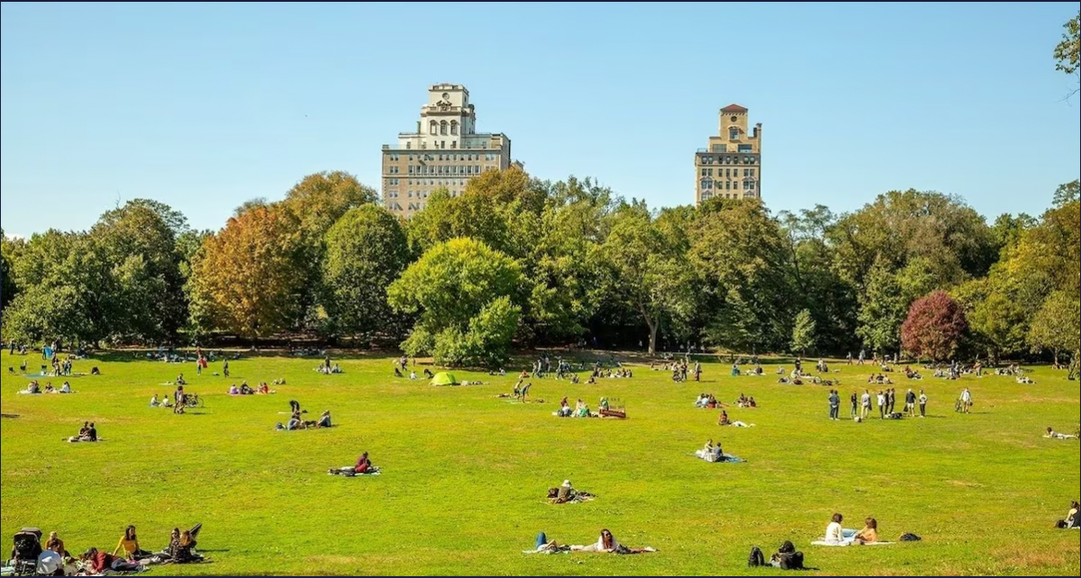 Brooklyn Gem-Steps from Prospect Park, Modern Comforts & Easy Manhattan Access - Photo 12