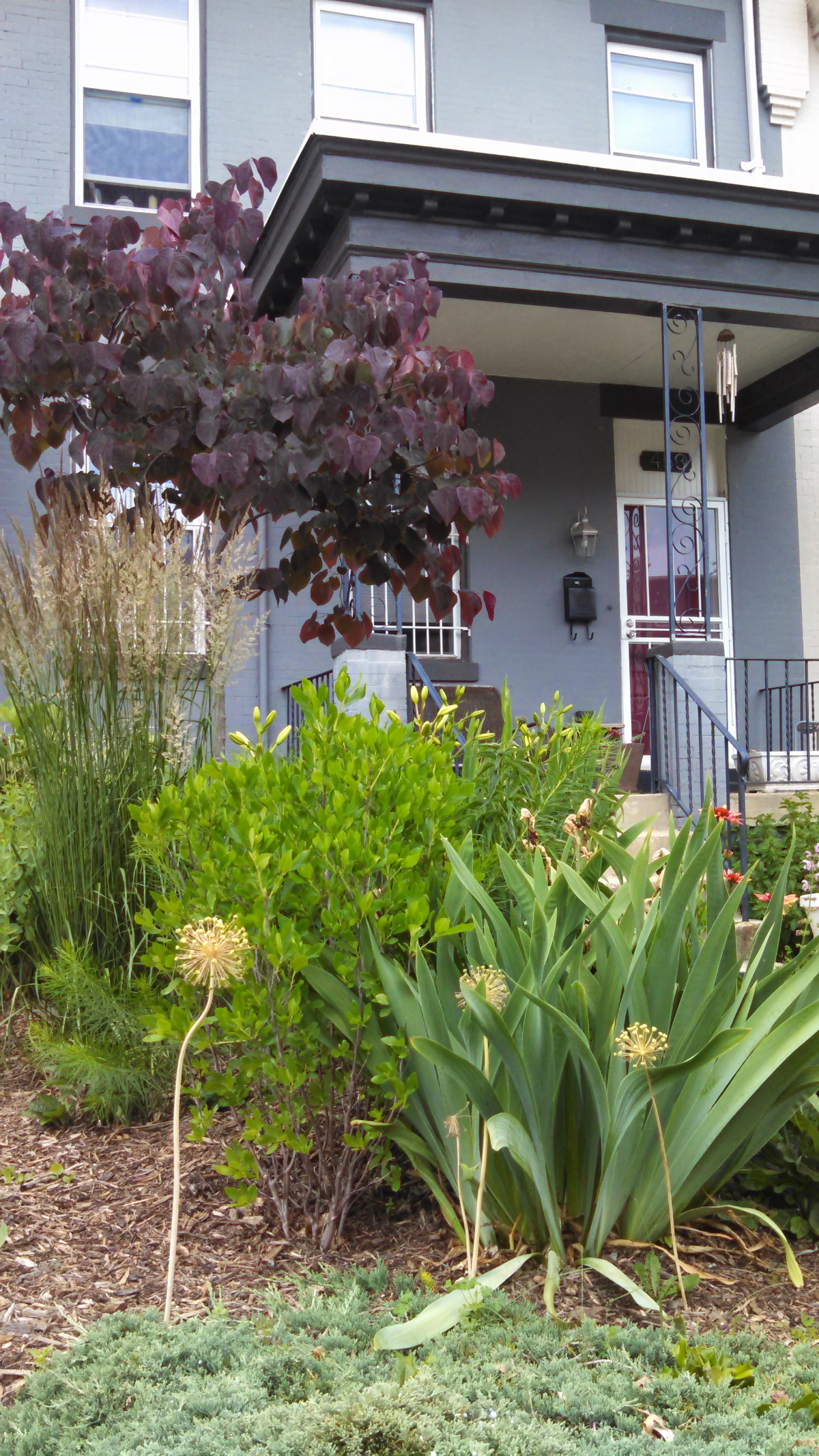 Sublet Furnished Sunny Row House, Lovely Gardens - Photo 10