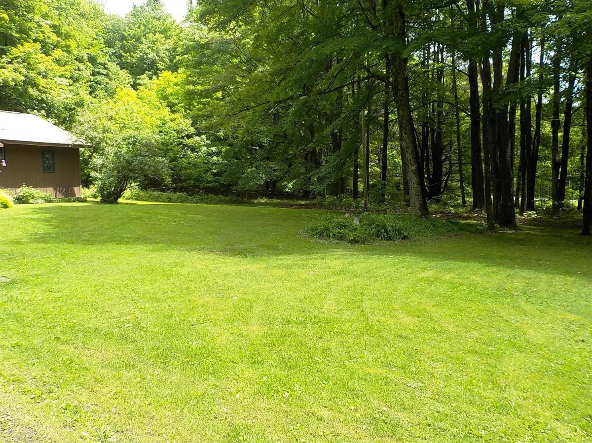 Cozy woodland 4 Bedroom House - Photo 3