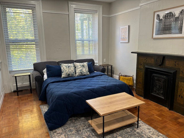 Quiet garden apartment near Hospitals and Parks - Photo 8