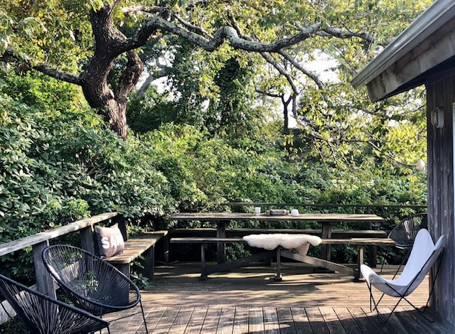 Stunning Serene and Secluded Ocean Retreat - Photo 6