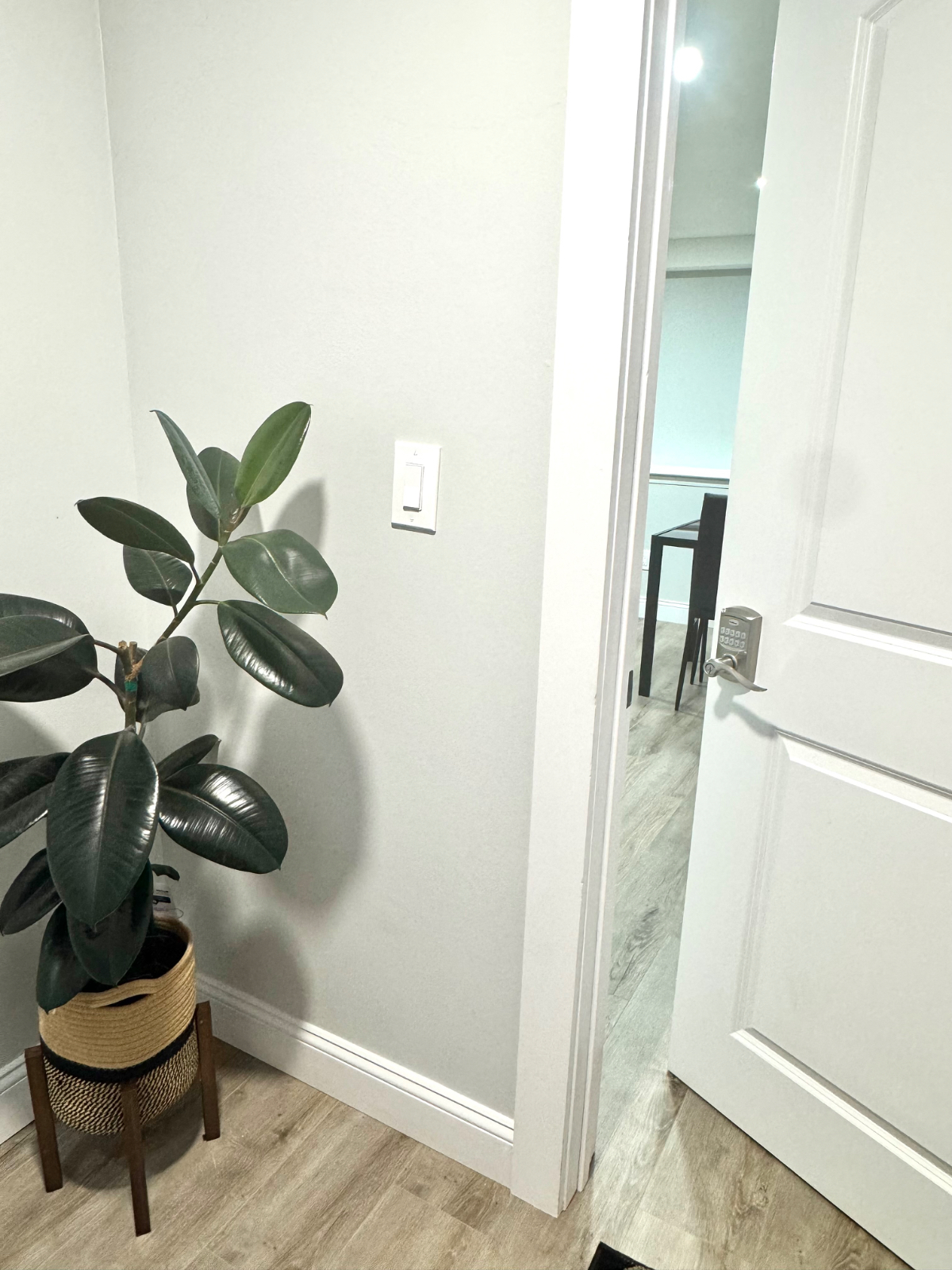 Comfortable and Modern Styled 2 bedroom Apartment - Photo 8