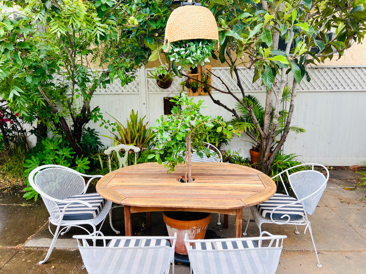 Sun-Filled Private Freestanding Pacific Beach Cottage and Patio - Photo 4