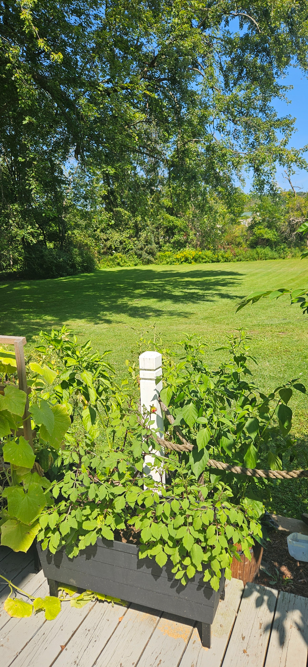 One Bedroom Apartment in Small Town w/Convenient Commute to Albany - Photo 9