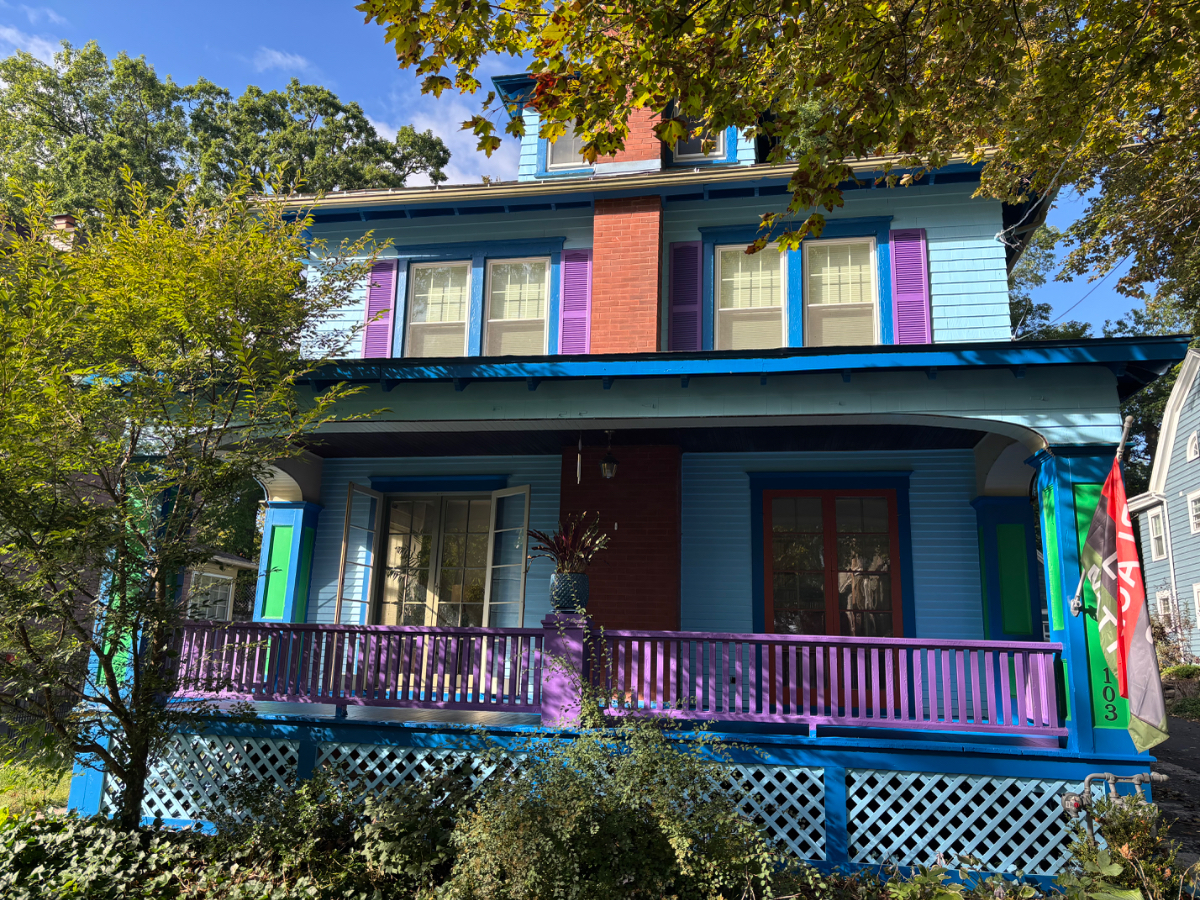 1-2 rooms available in gorgeous Syracuse house - on a safe, quiet street, close to major hospitals - Photo 11