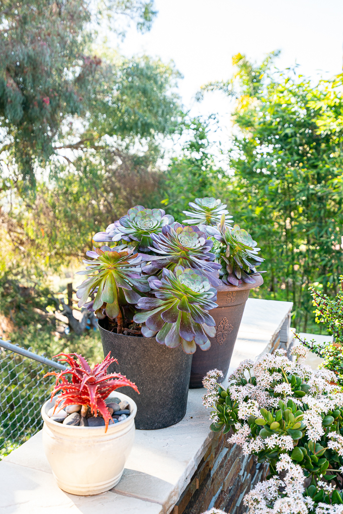 Casita Hermosa - Close to everything in San Diego - Photo 4