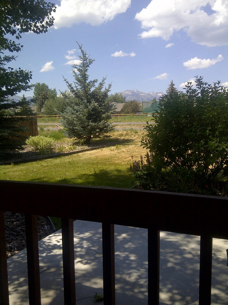 Quarter Horse Cabin - Photo 3