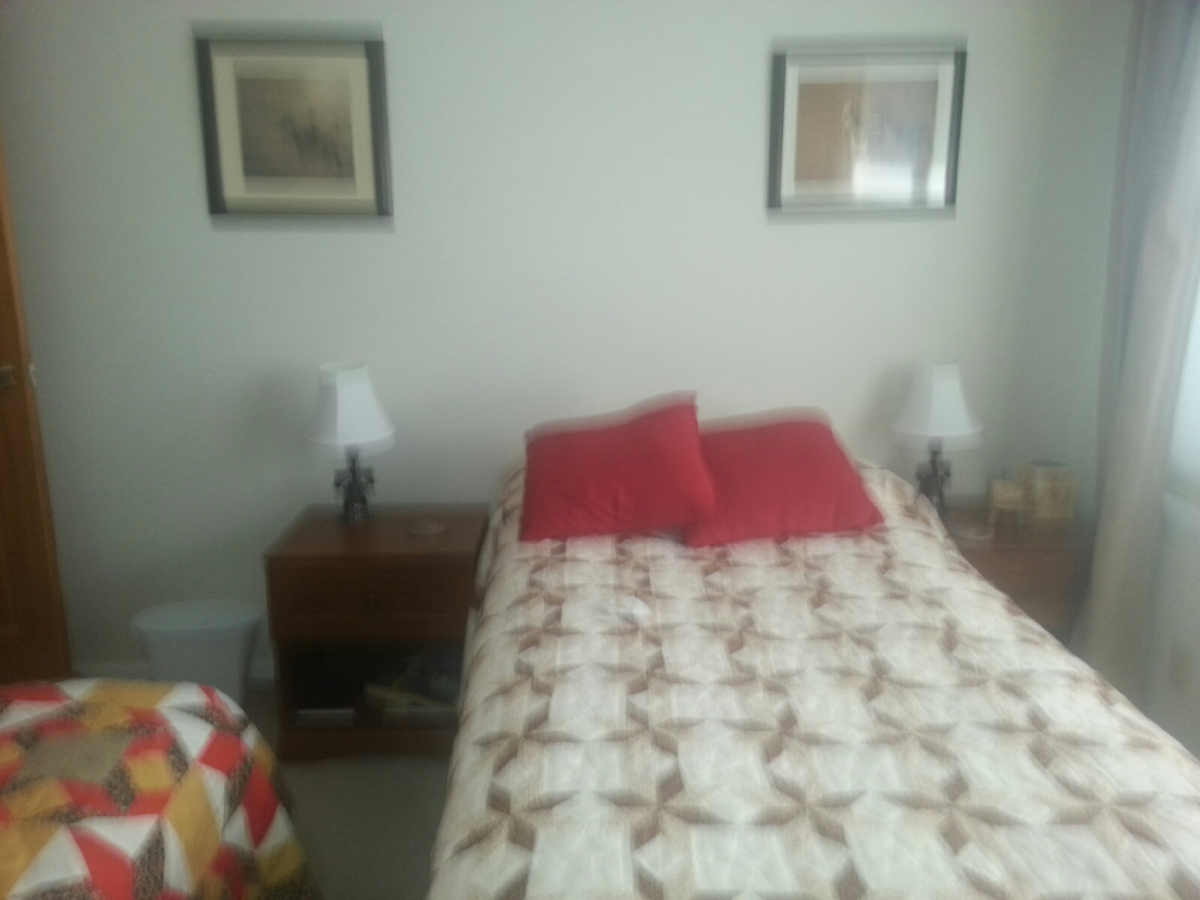 Quarter Horse Cabin - Photo 4