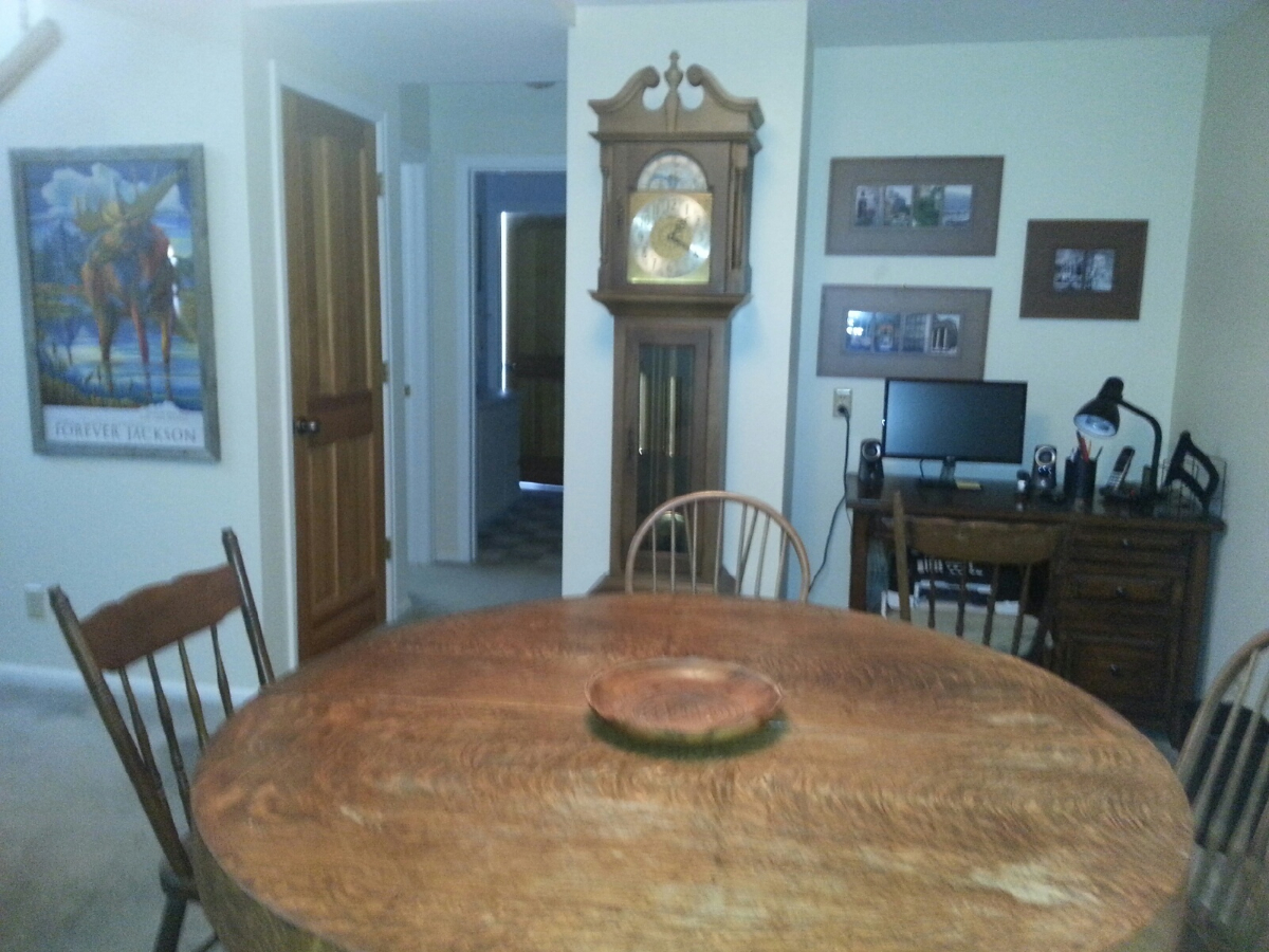 Quarter Horse Cabin - Photo 10