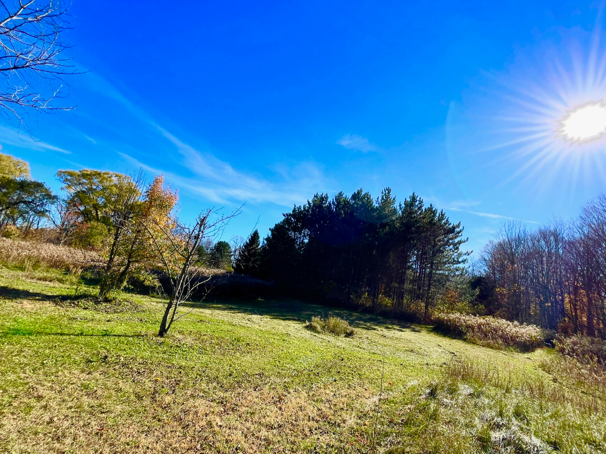 Near Cayuga Med, Private 3BR Retreat - Photo 5