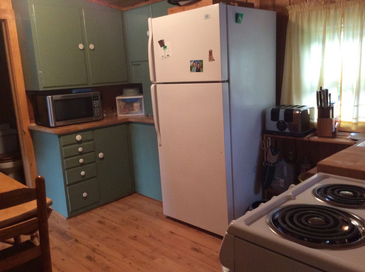 Lakefront Cottage near hospitals - Photo 7