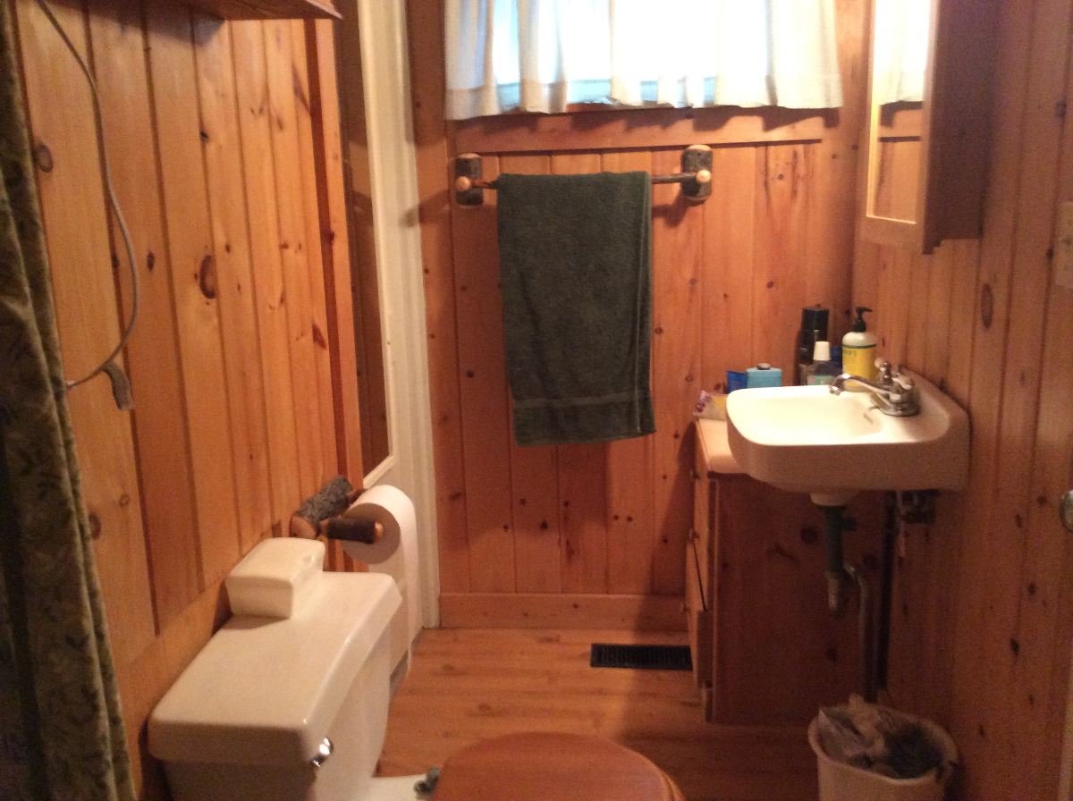 Lakefront Cottage near hospitals - Photo 9