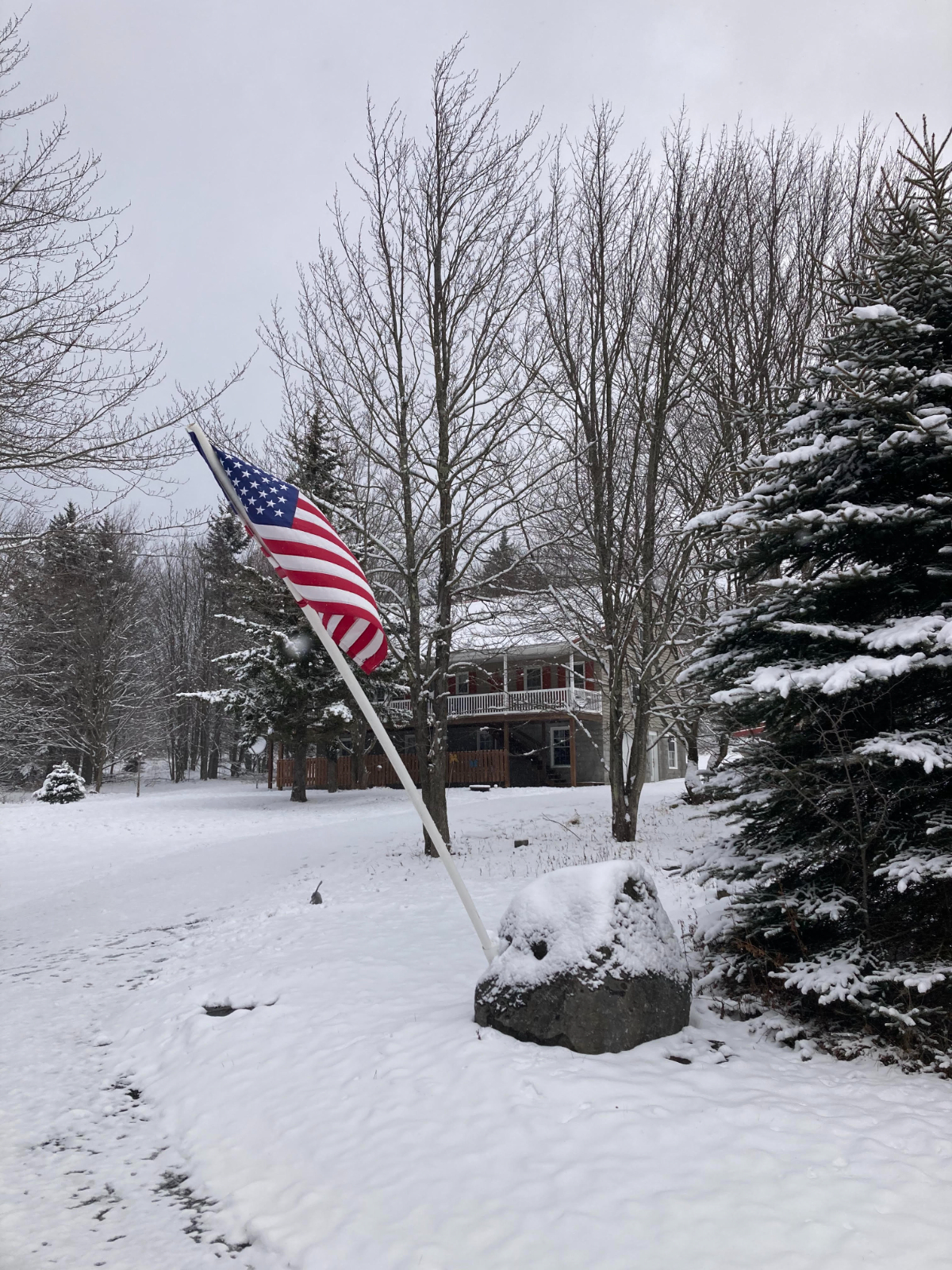 Entire House at Mount Storm Lake 30 minutes from Keyser - Photo 4