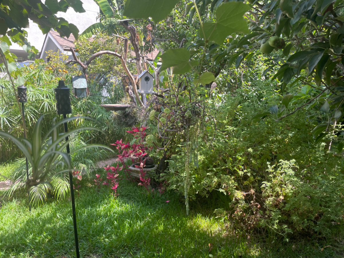 Private Cozy Cottage - Photo 2