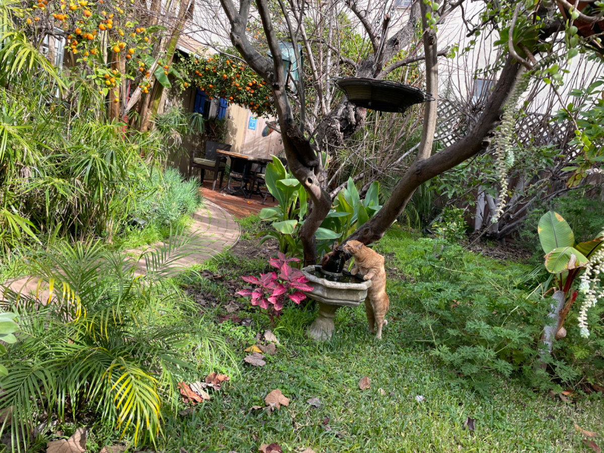 Private Cozy Cottage - Photo 6