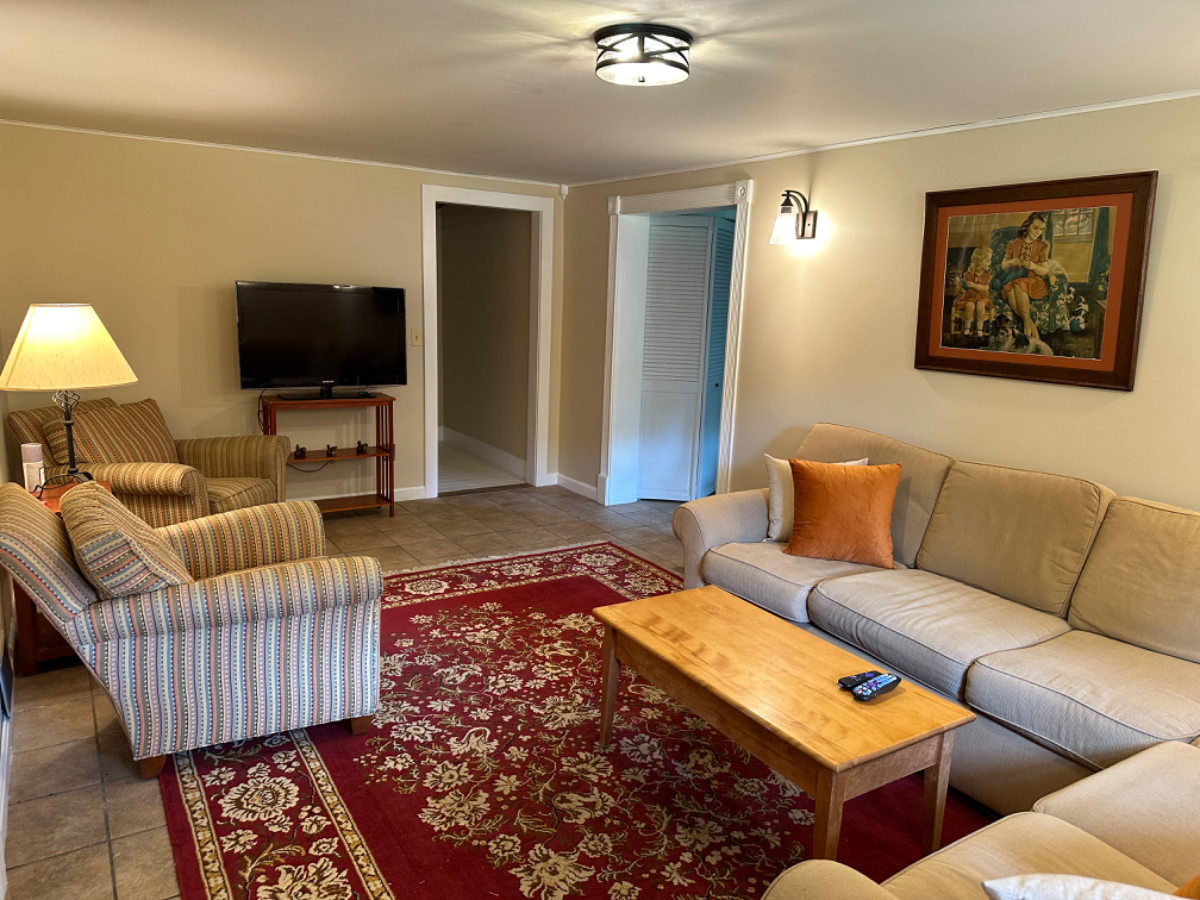 Large One-Bedroom Apartment in Charlotte - Photo 2