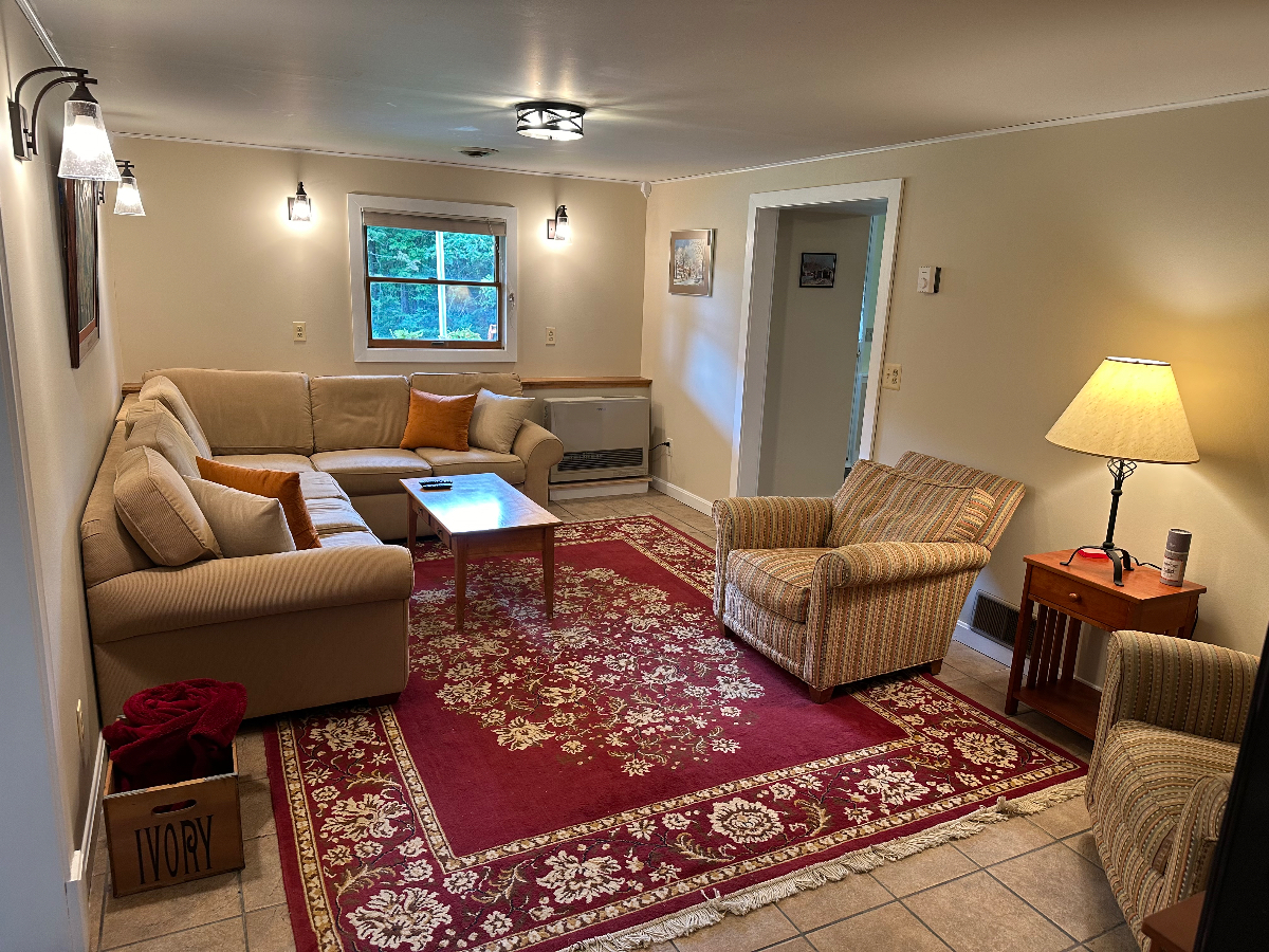 Large One-Bedroom Apartment in Charlotte - Photo 1