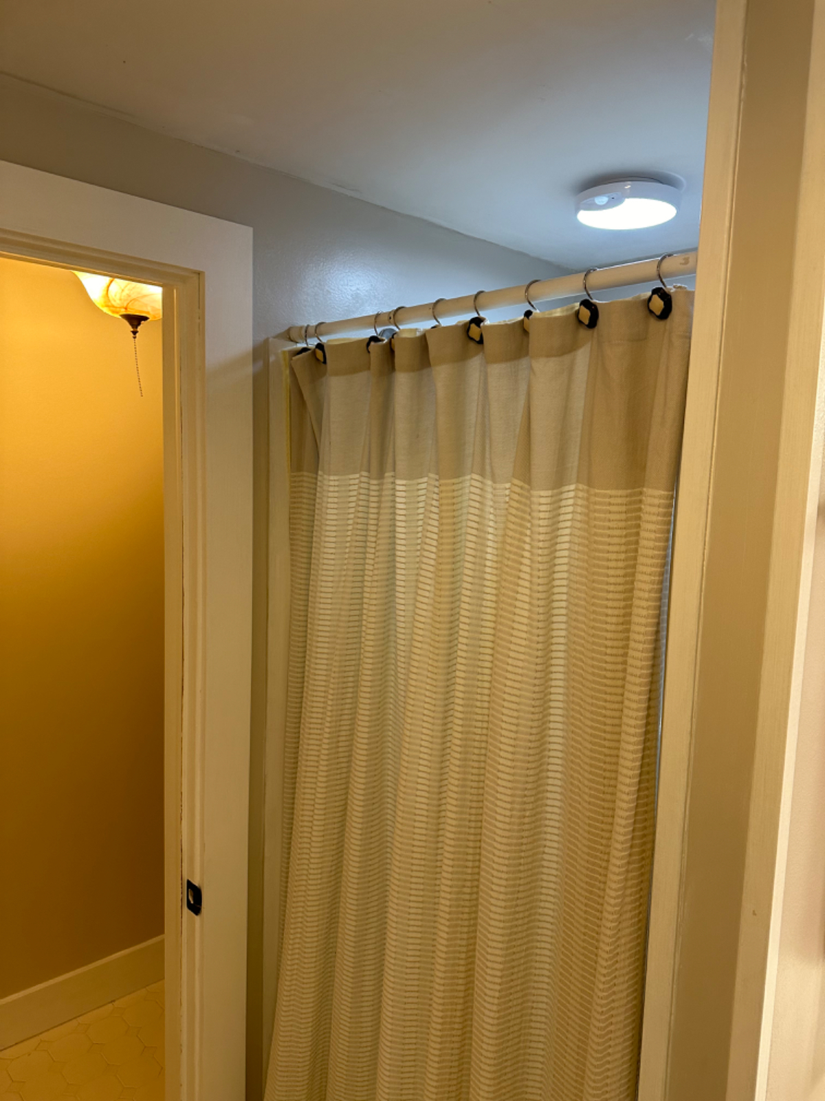 Large One-Bedroom Apartment in Charlotte - Photo 10