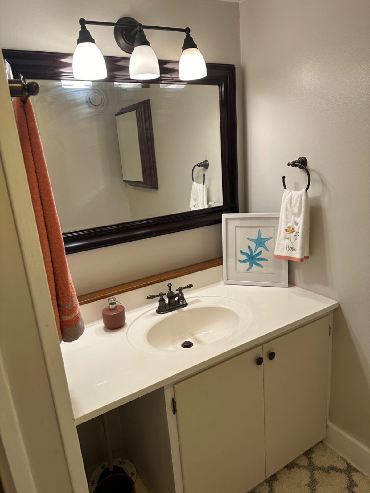 Large One-Bedroom Apartment in Charlotte - Photo 8