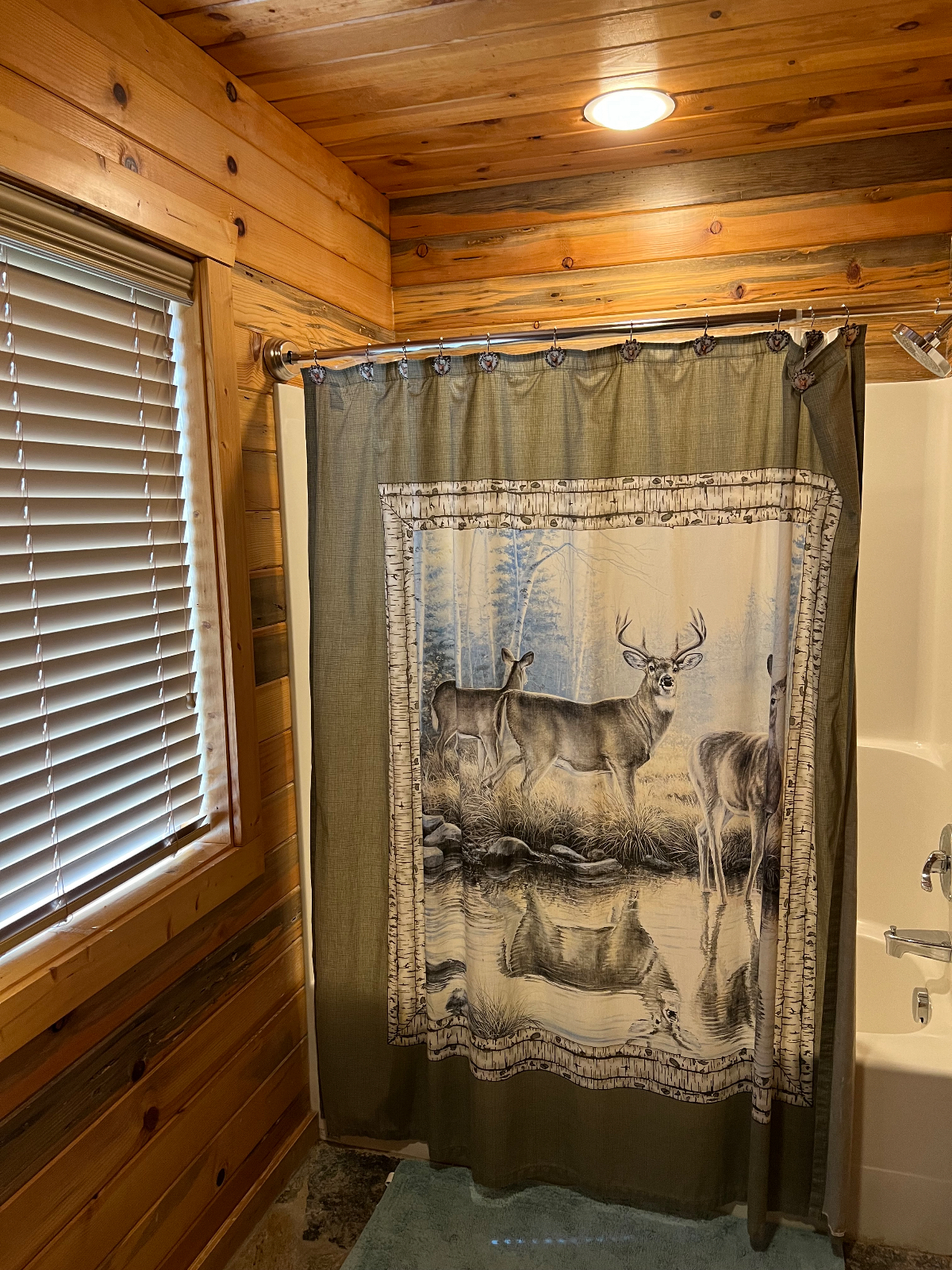 2 Bedroom Loft Cabin - Photo 6