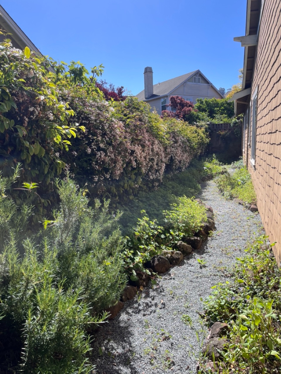 Spacious, quiet & modern San Rafael home near 101, shopping, hikes