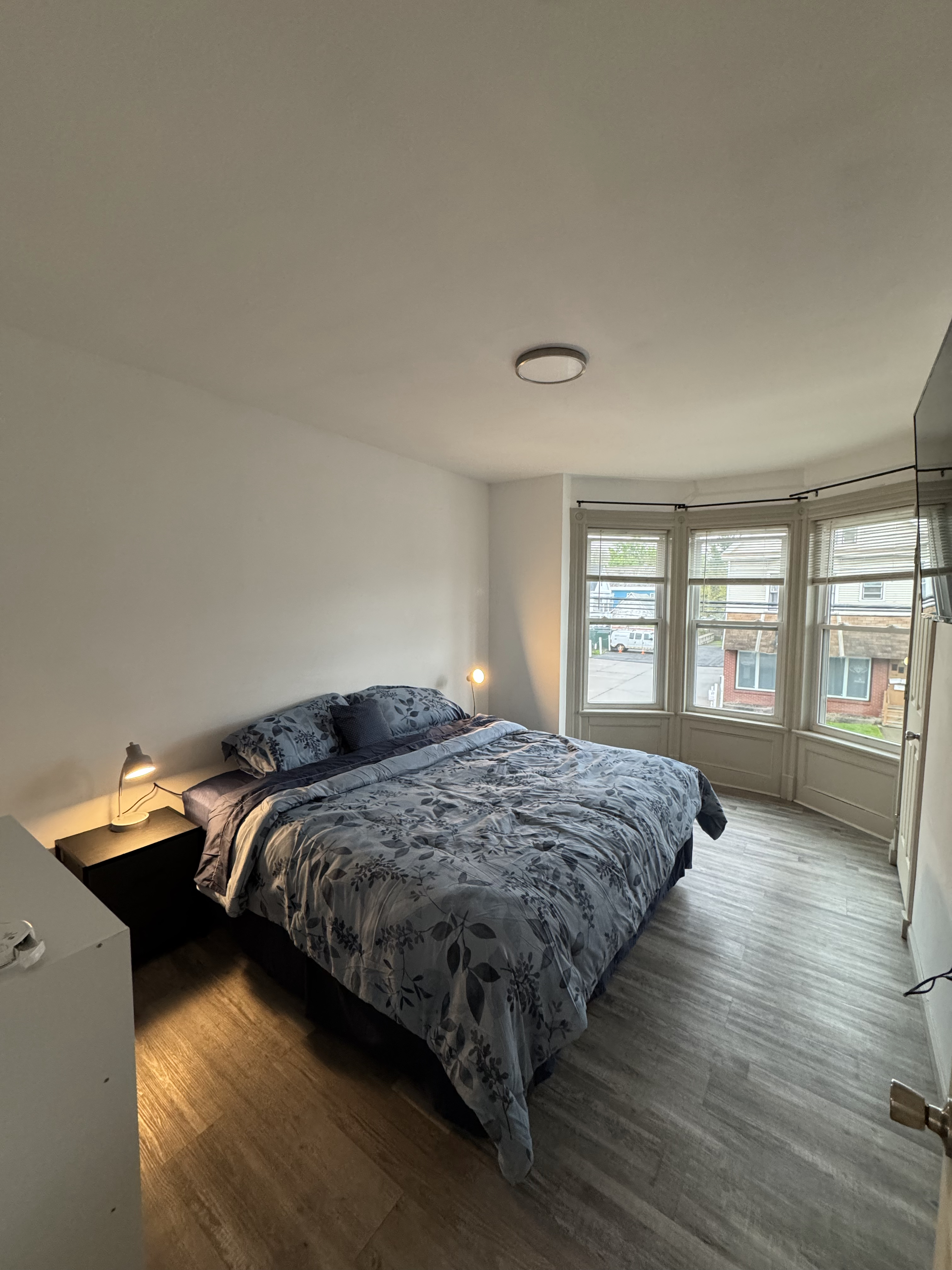 Luxury 1 Bedroom Unit Near Ellis Hospital and Downtown Schenectady Apt 1 - Photo 4