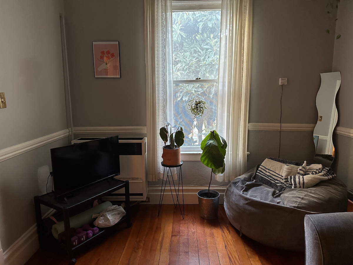 Cozy Private Room Available in Classic 2 Bed, 1 Bath Mission Dolores Apt. - Photo 3