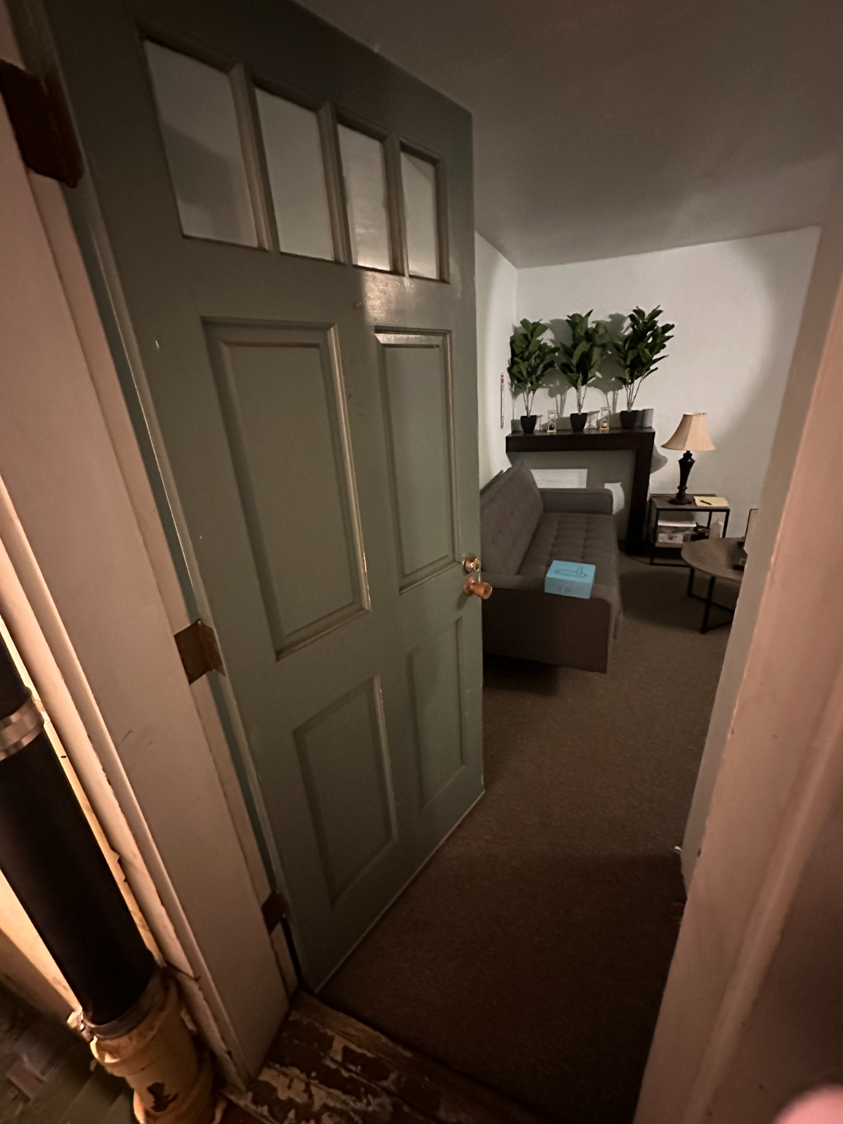One Bedroom, One Bathroom Private InLaw in the Inner Sunset - Photo 3