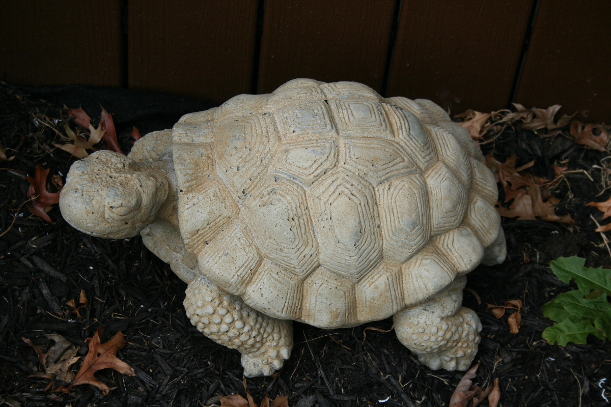 The Turtle House - Charming Home Close to St. Mary's Hospital - Photo 3