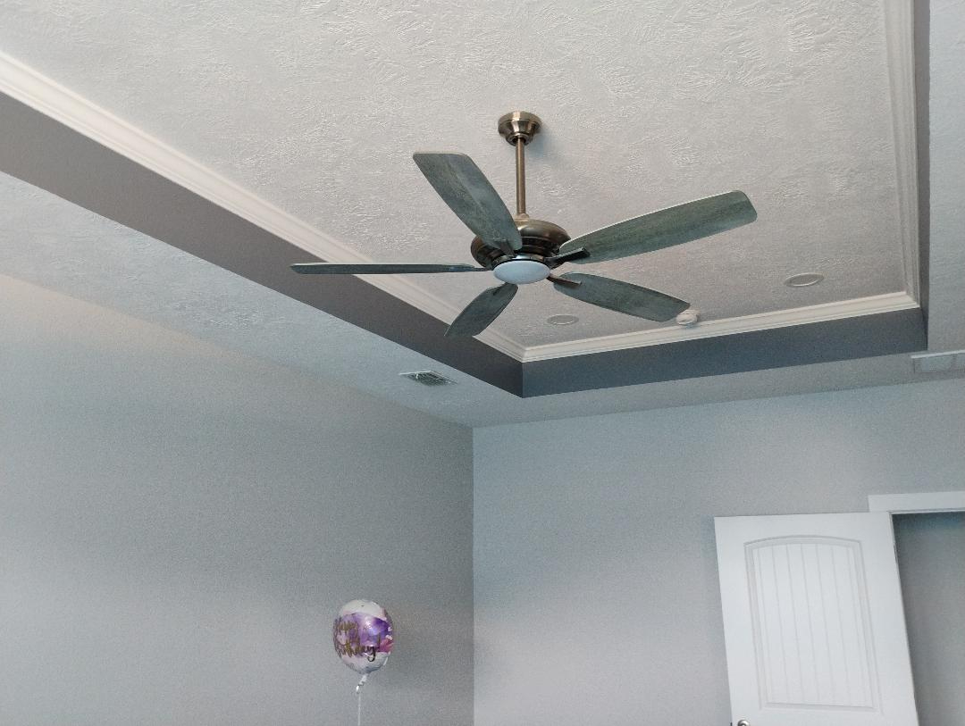 Single Family House with two bedrooms for rent - Photo 3
