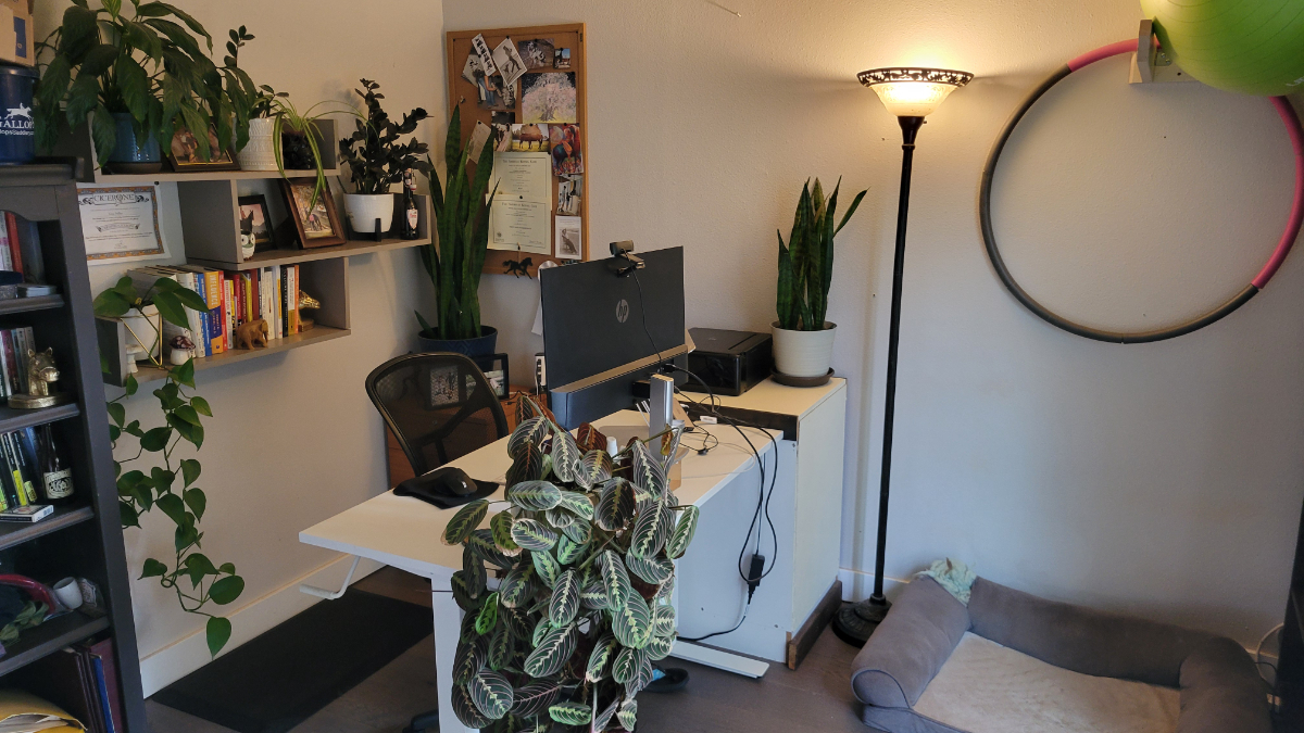 Cozy home, very quiet, great central location - Photo 3