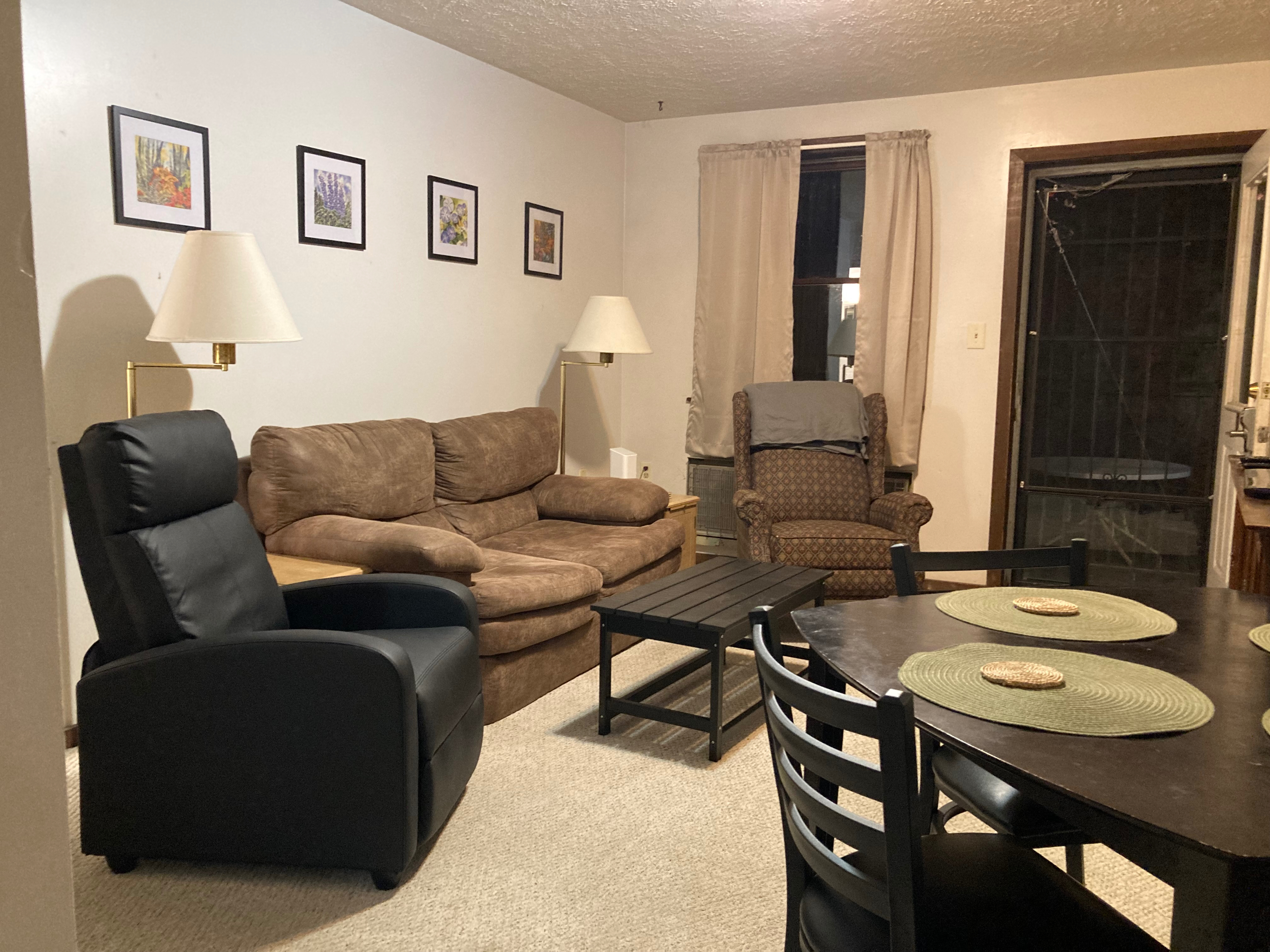2.Quiet & South Park Apt Off-St Parking, Walk to Coffee Shop, Dining and Rail Trail - Photo 2