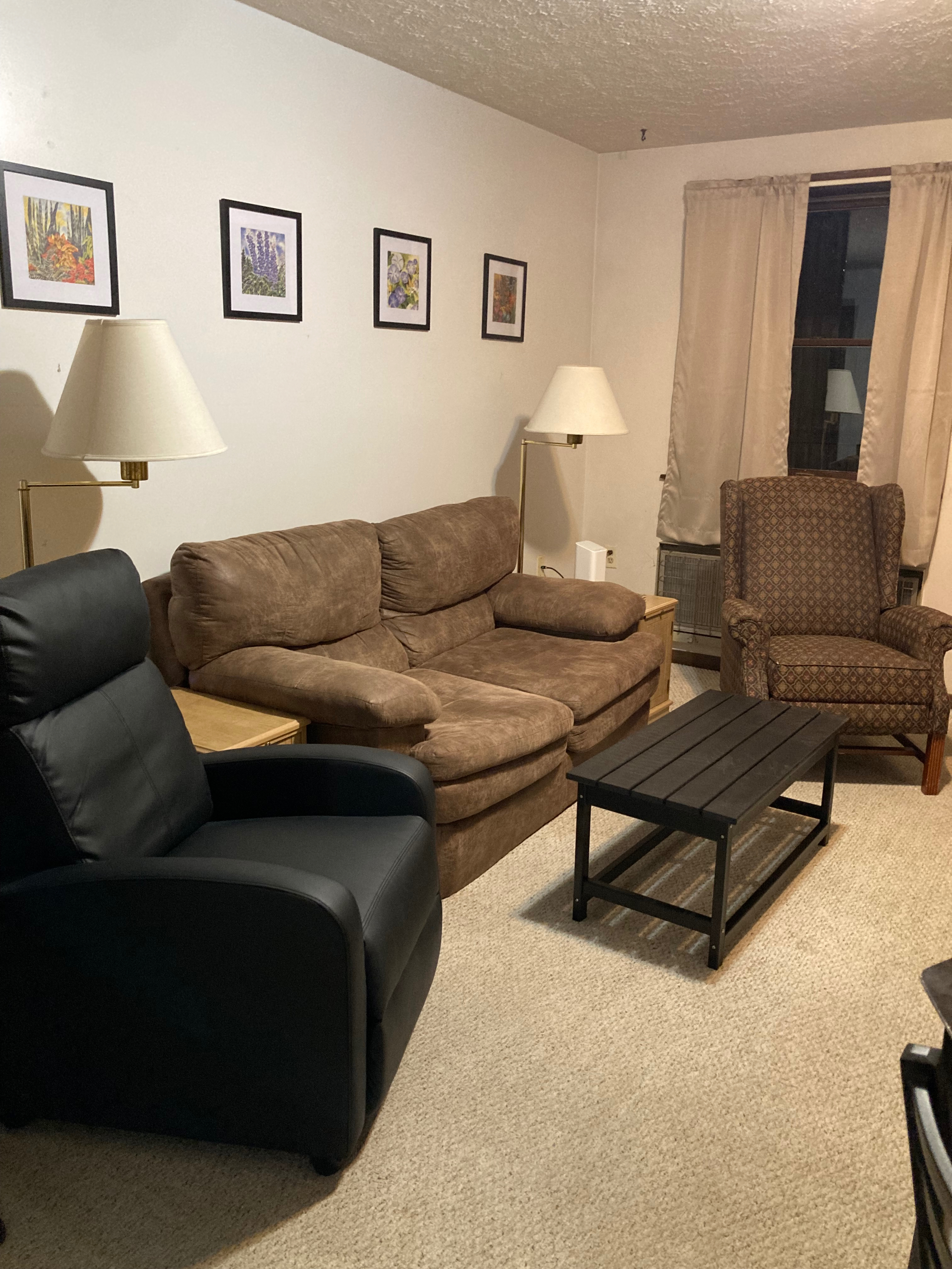 2.Quiet & South Park Apt Off-St Parking, Walk to Coffee Shop, Dining and Rail Trail - Photo 3