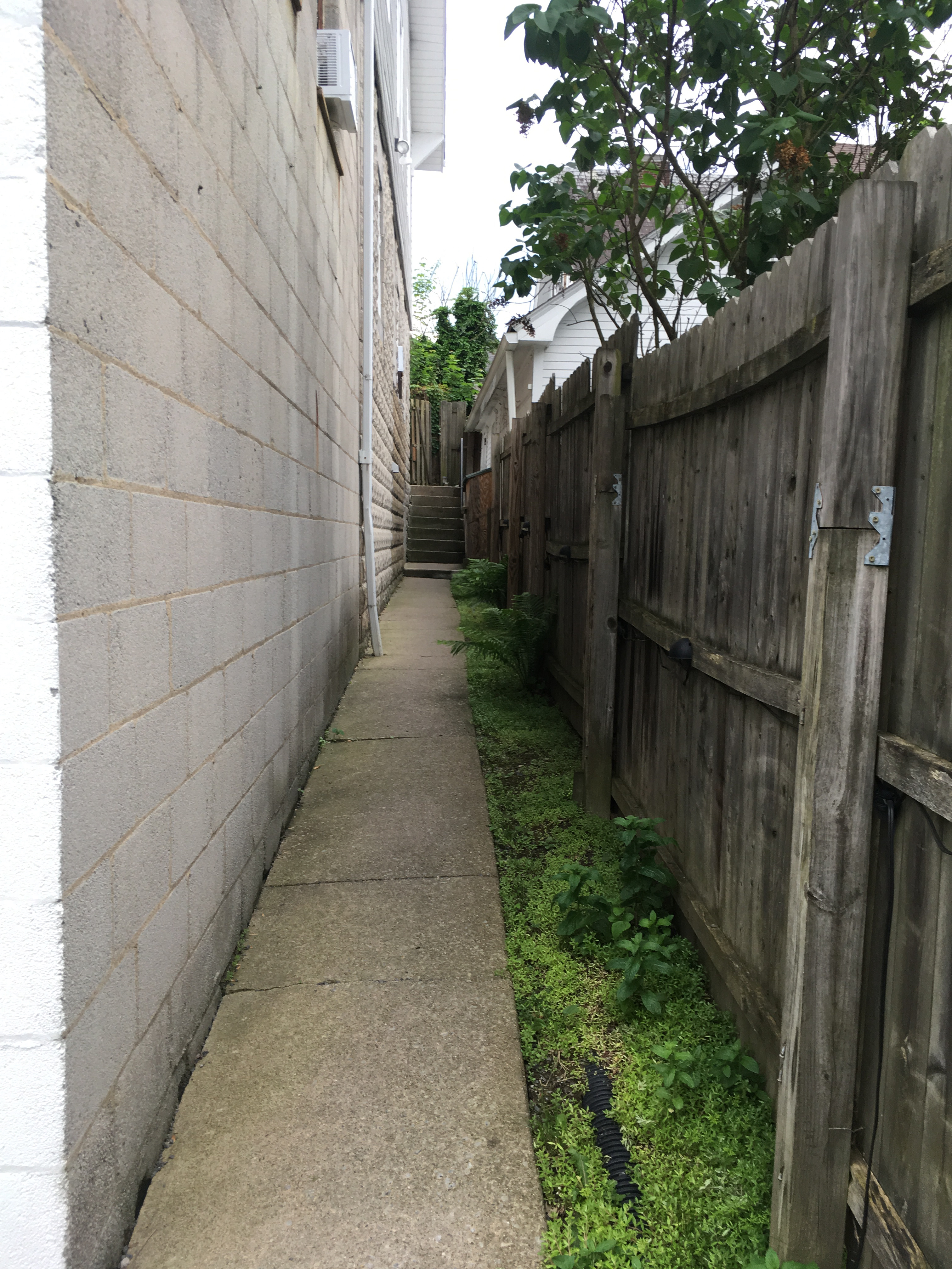 2.Quiet & South Park Apt Off-St Parking, Walk to Coffee Shop, Dining and Rail Trail - Photo 3