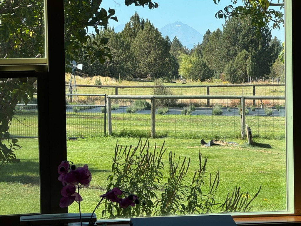 Quiet, peaceful, private, safe, & convenient location in Bend, Oregon - Photo 5