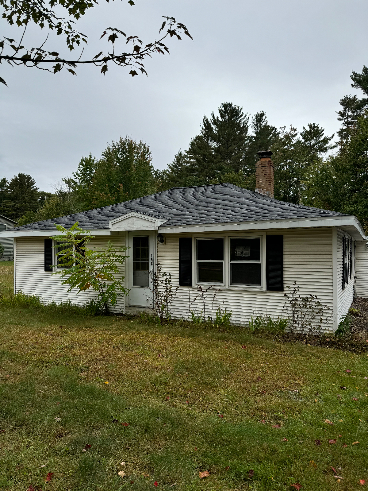 2 Bed 1 Bath Private Cottage - Photo 6