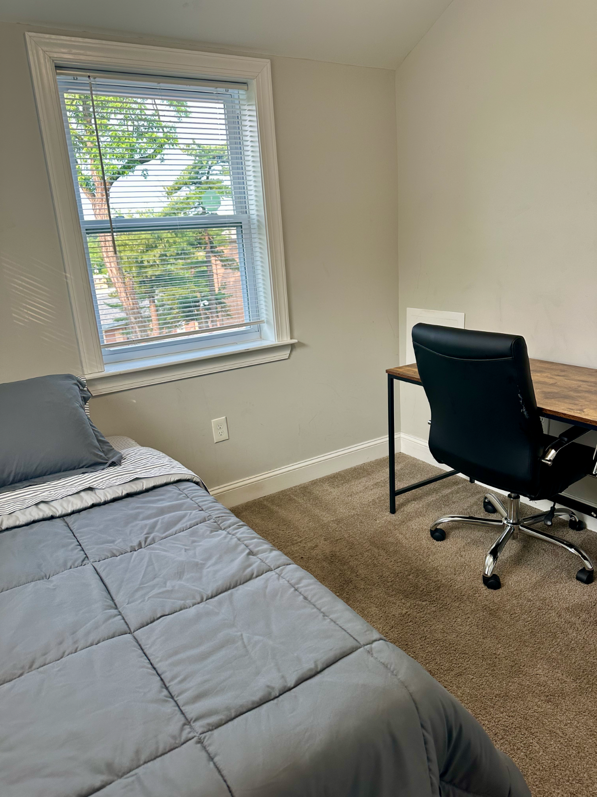 Cozy 3 Bed/2.5 Bathroom Home in SE Washington DC - Photo 12